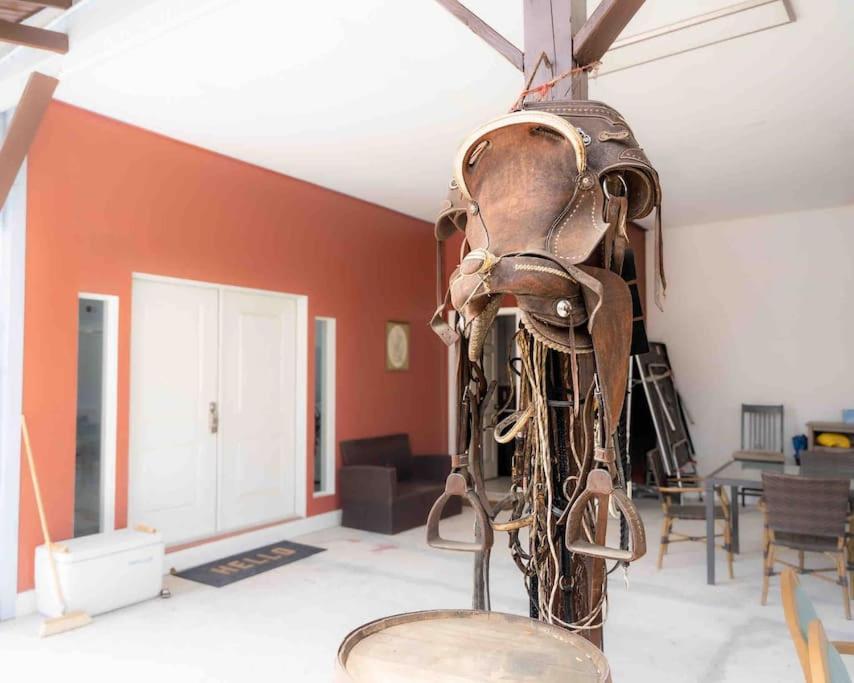 Apartamento Tampa Bay Oasis Tarpon Springs Exterior foto